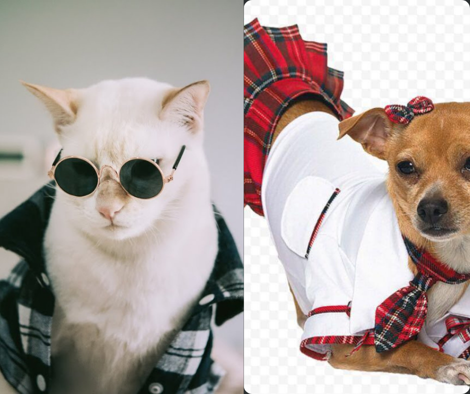APPARELS FOR DOGS AND CATS